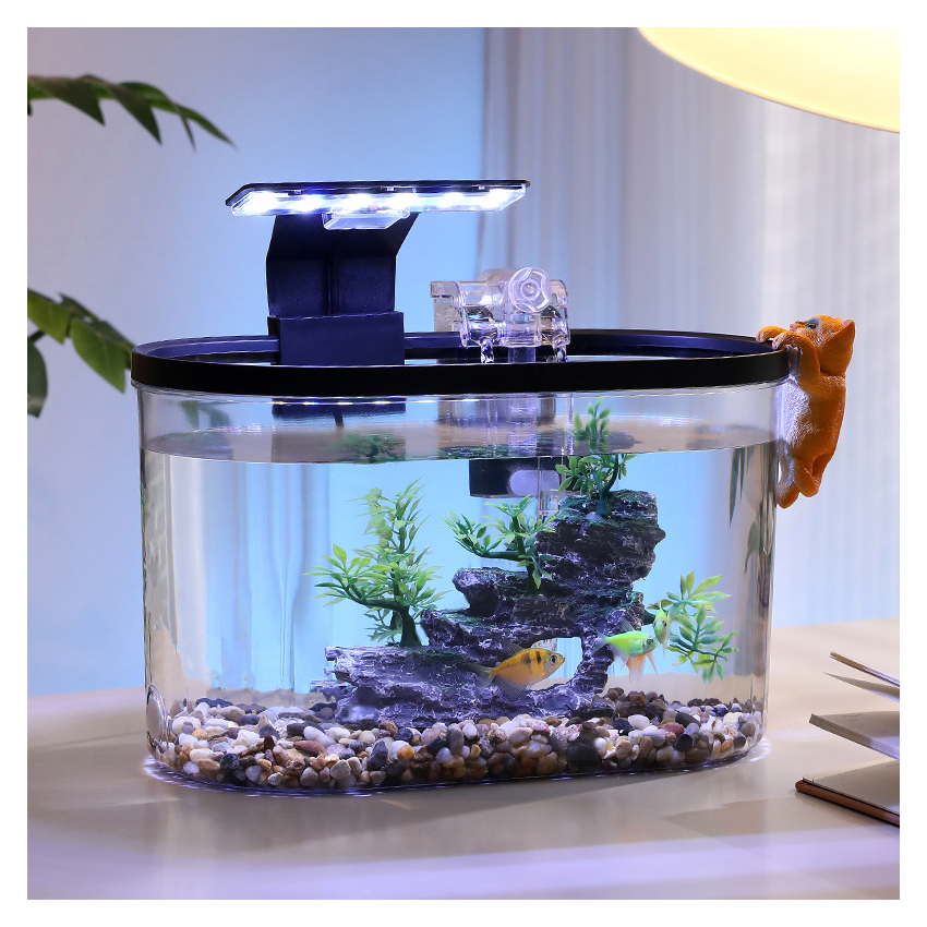 Oval Desktop Aquascape Eco Fish Tank with Lights